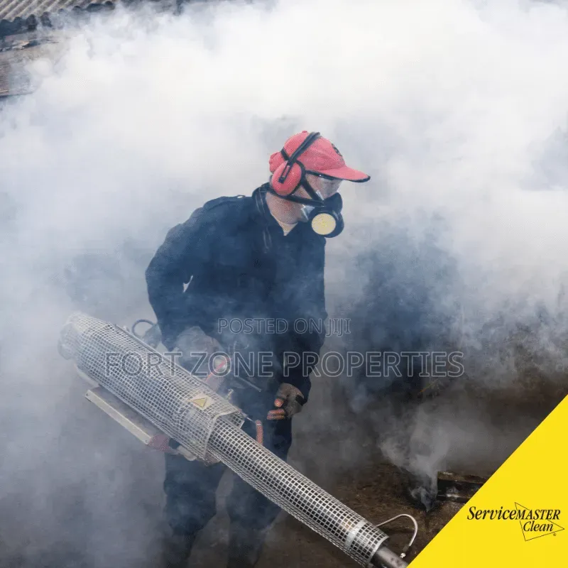 Fogger Man Fumigation With Cleantex