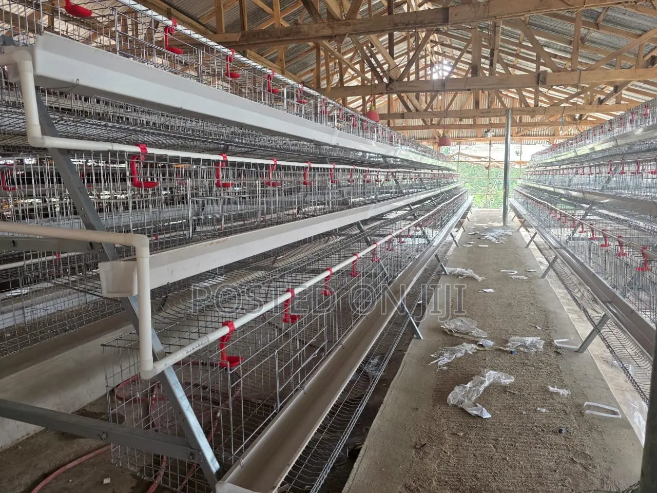 Poultry Chicken Battery Cage System