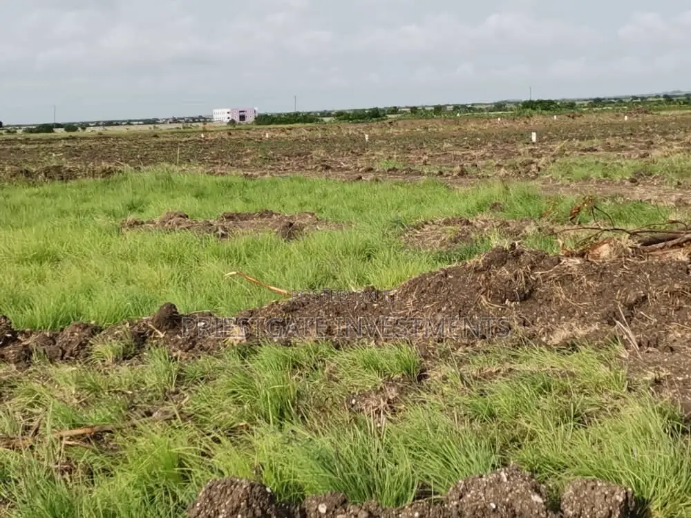 Don't Miss Out! Spacious Land for Sale at Tsopoli