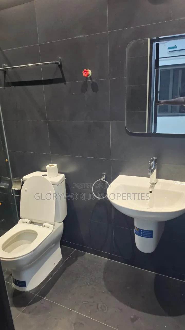 2bdrm Apartment in Dzorwulu for sale