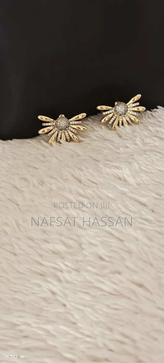 Unique Women Pair of Earrings