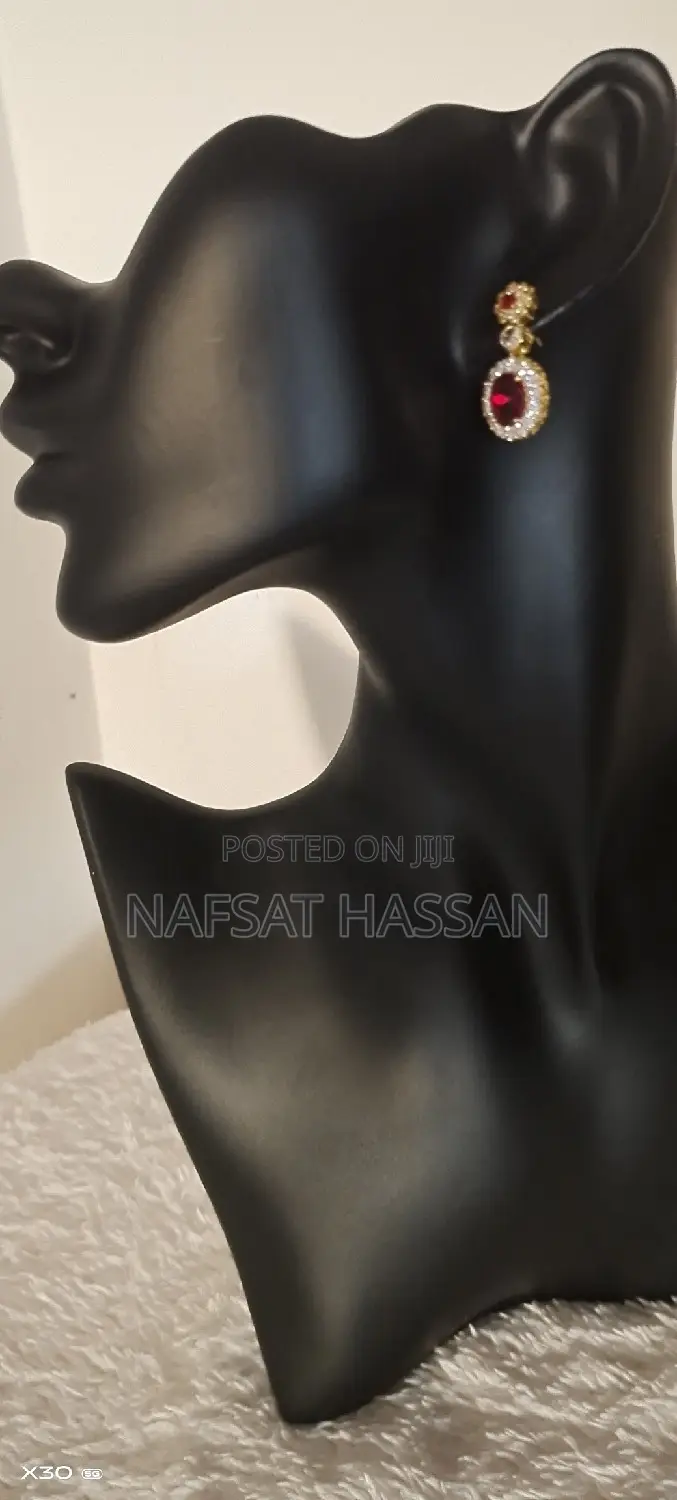 Women Exquisite Earrings