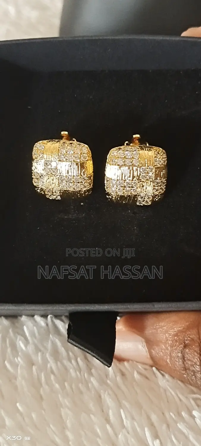 Women Exquisite Earrings