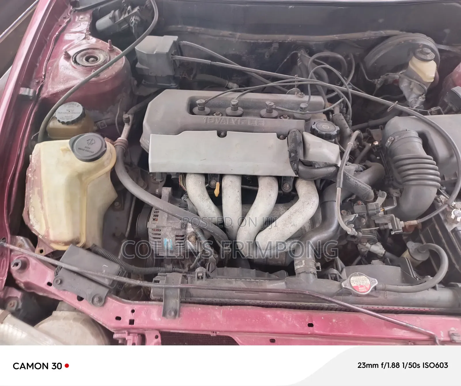 Toyota Corolla 1999 Brown