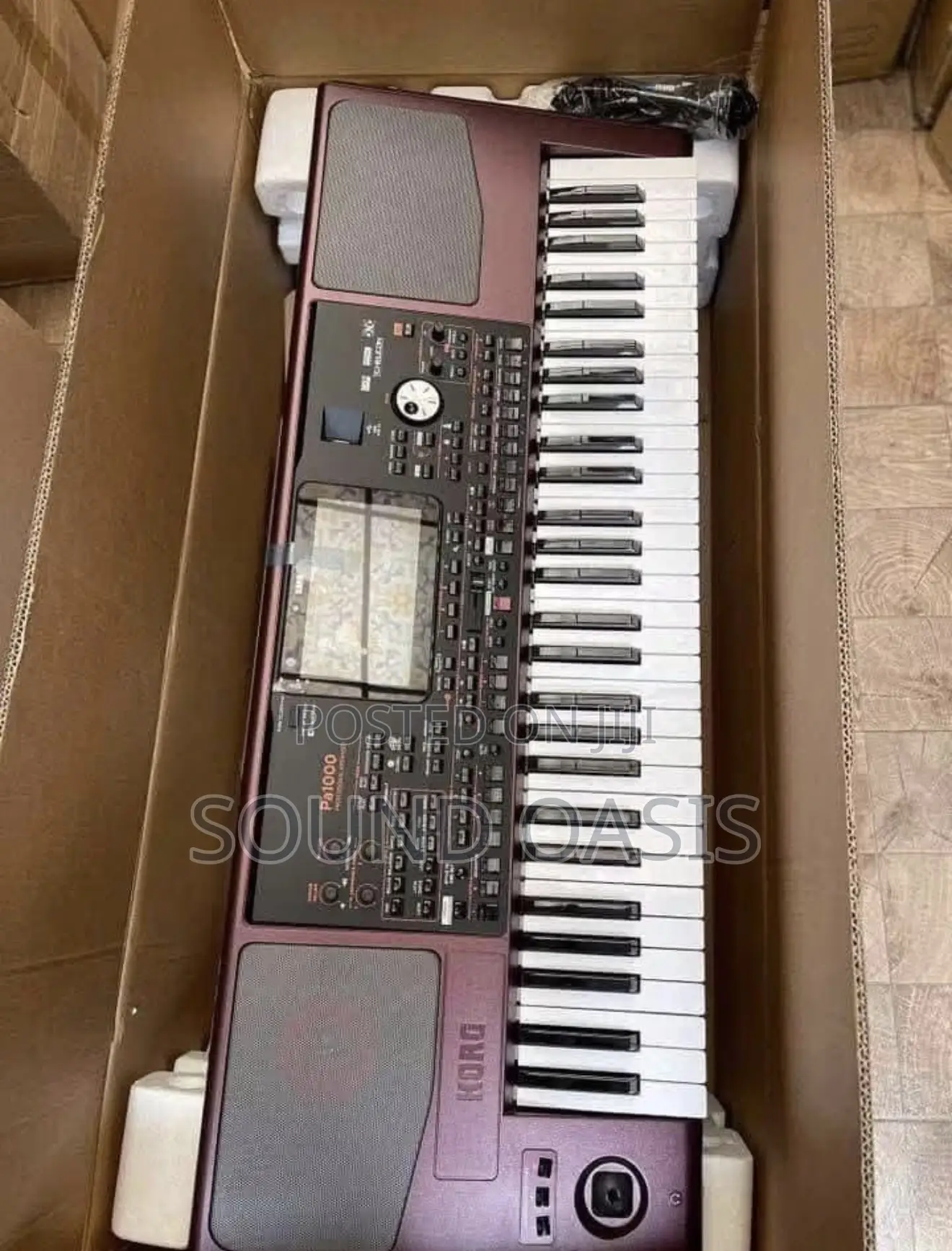 Korg Pa1000 61-Key Professional Arranger