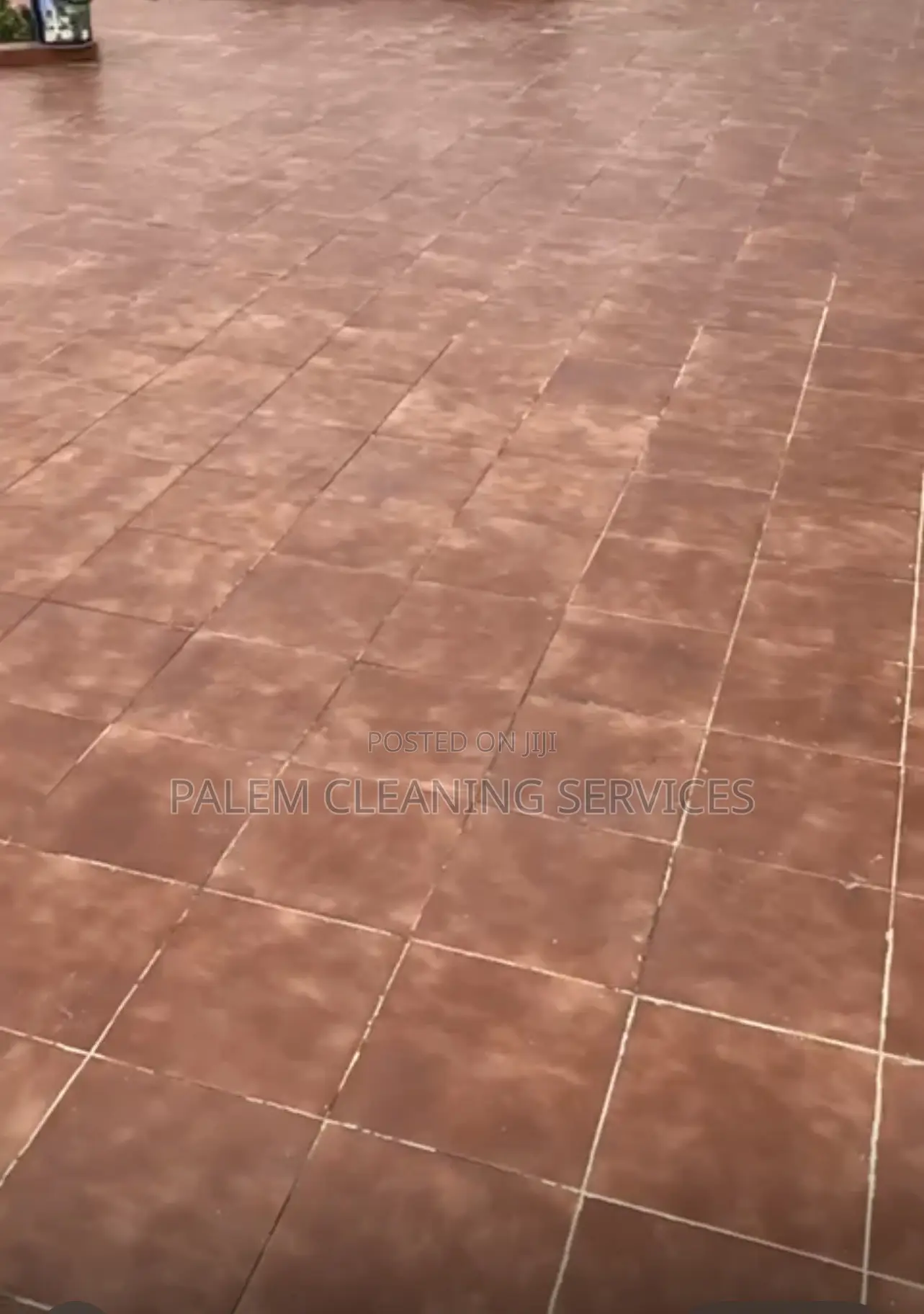 Floor Cleaning (Terra-Cotta Floor)