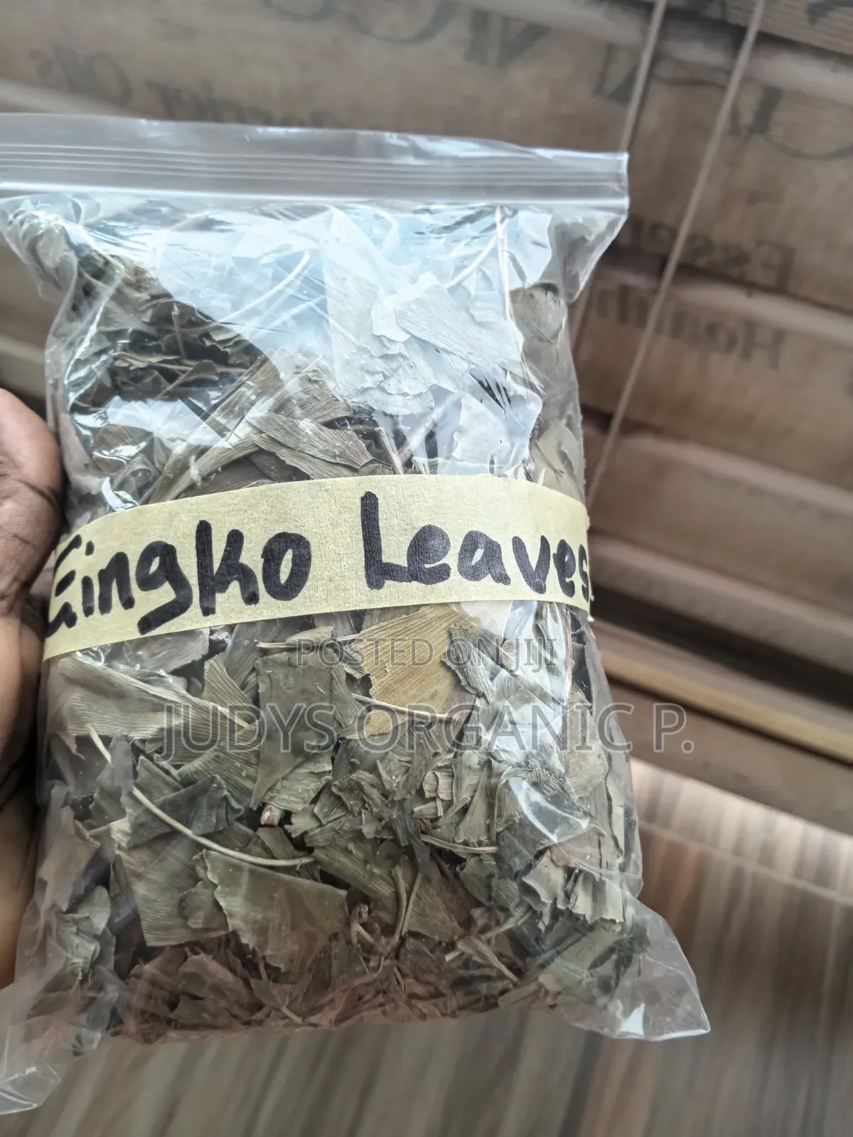 Gingko Biloba Leaves