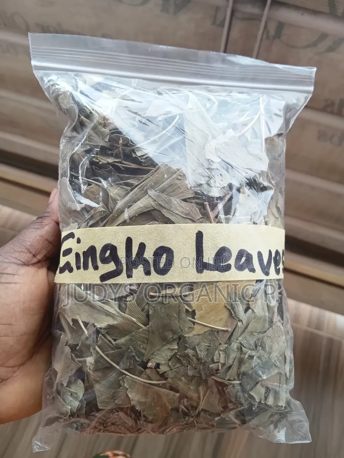Gingko Biloba Leaves