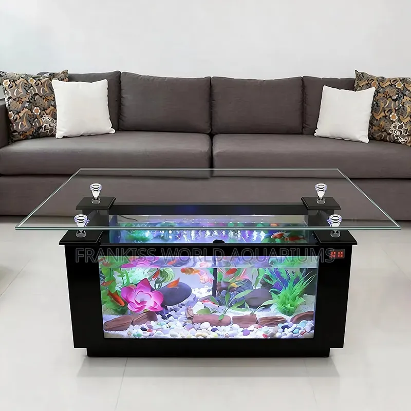 Center Table Aquarium