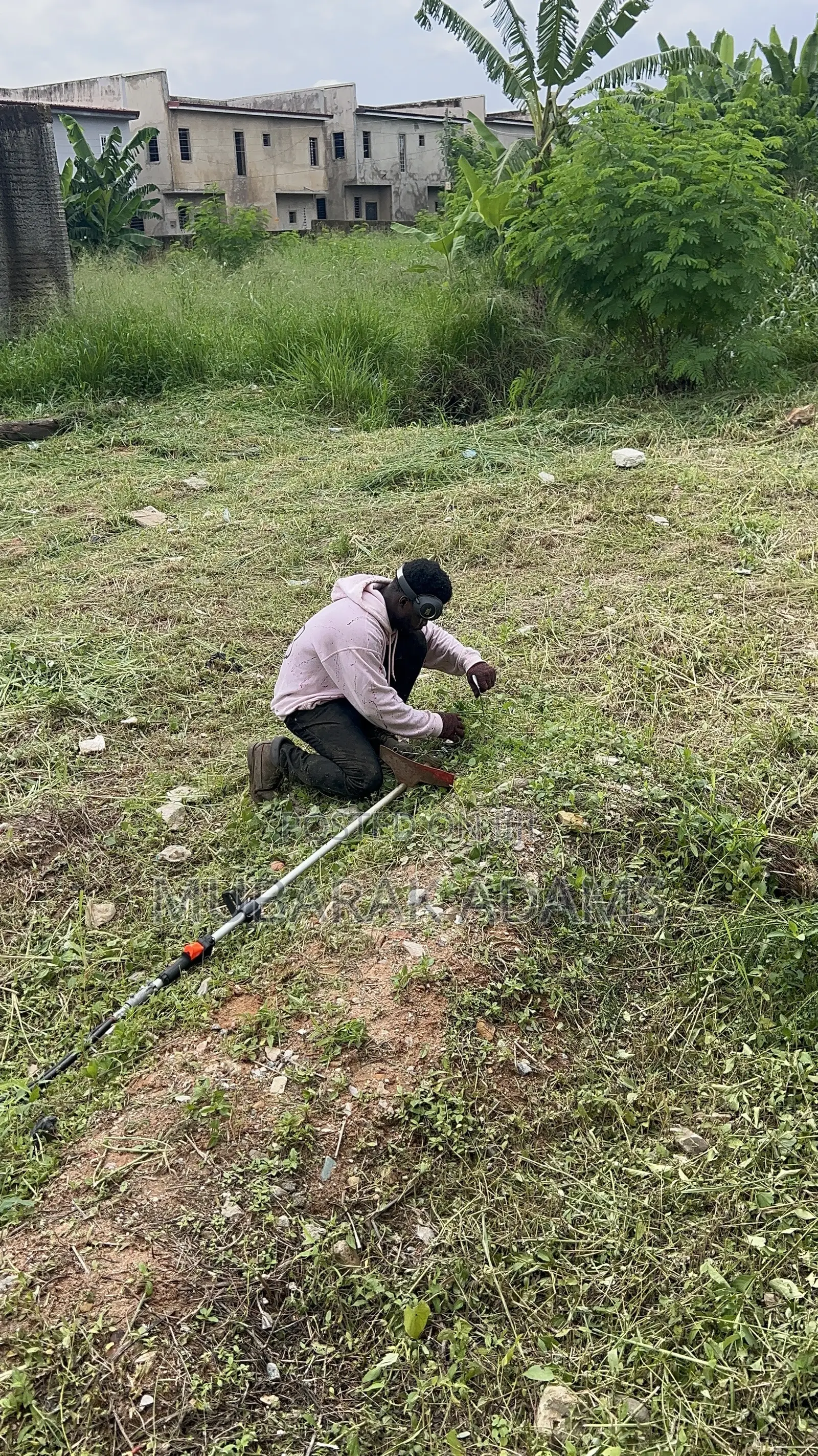 Bush Weeding