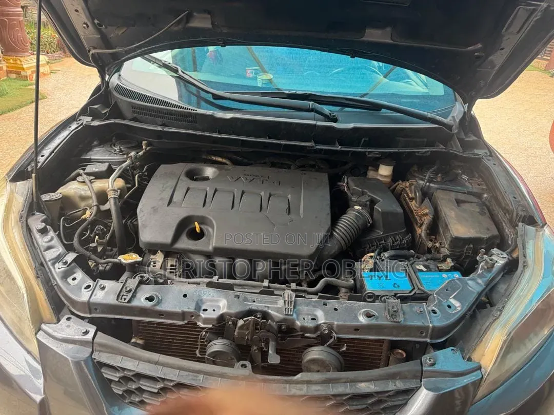 Toyota Matrix Hatchback FWD (1.8L 4cyl 5M) 2009 Gray