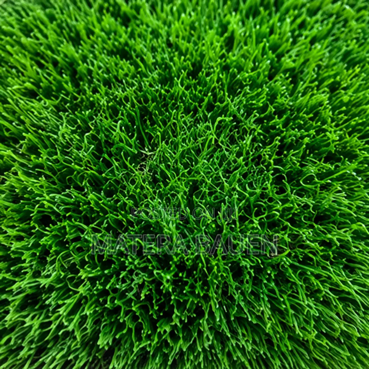 20mm 40mm Carpet Grass, Natural Looking