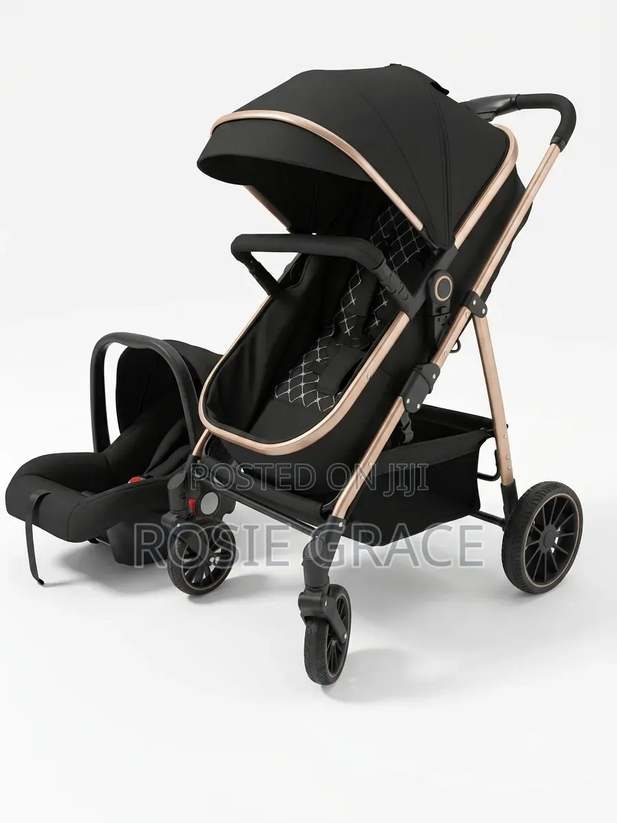 2 in 1 Stroller