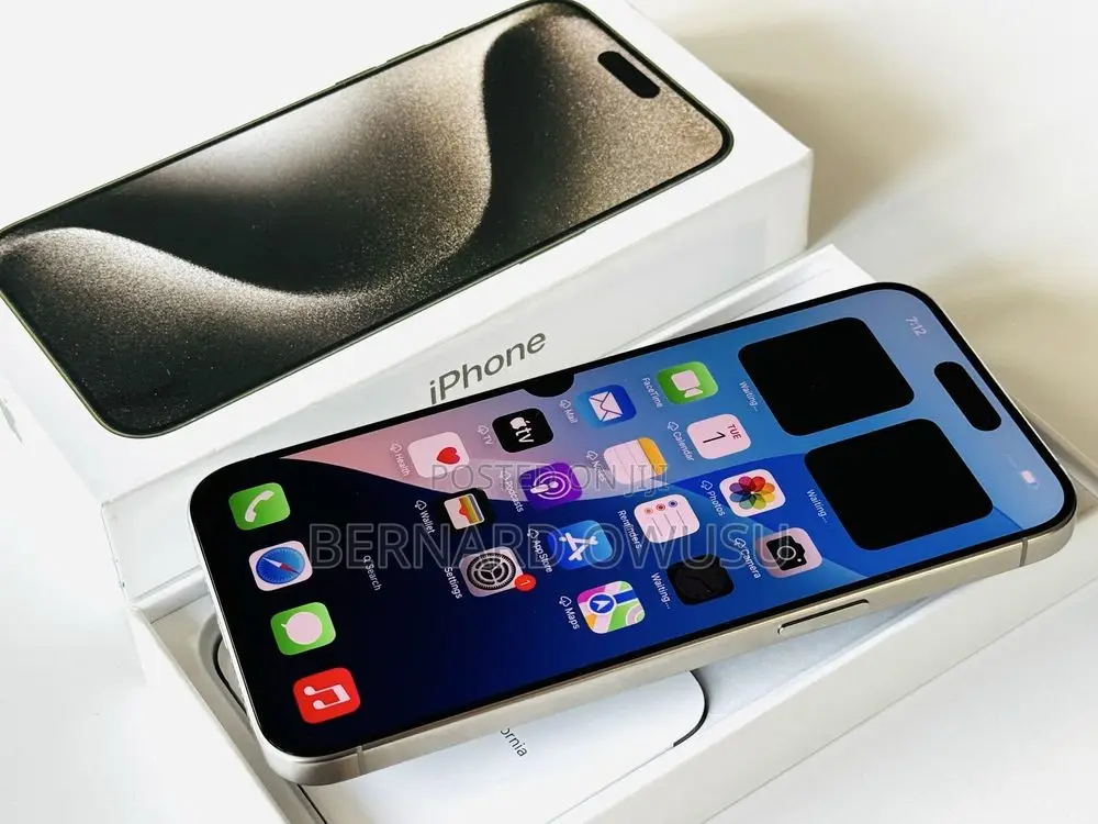 Apple iPhone 15 Pro Max 256 GB Silver