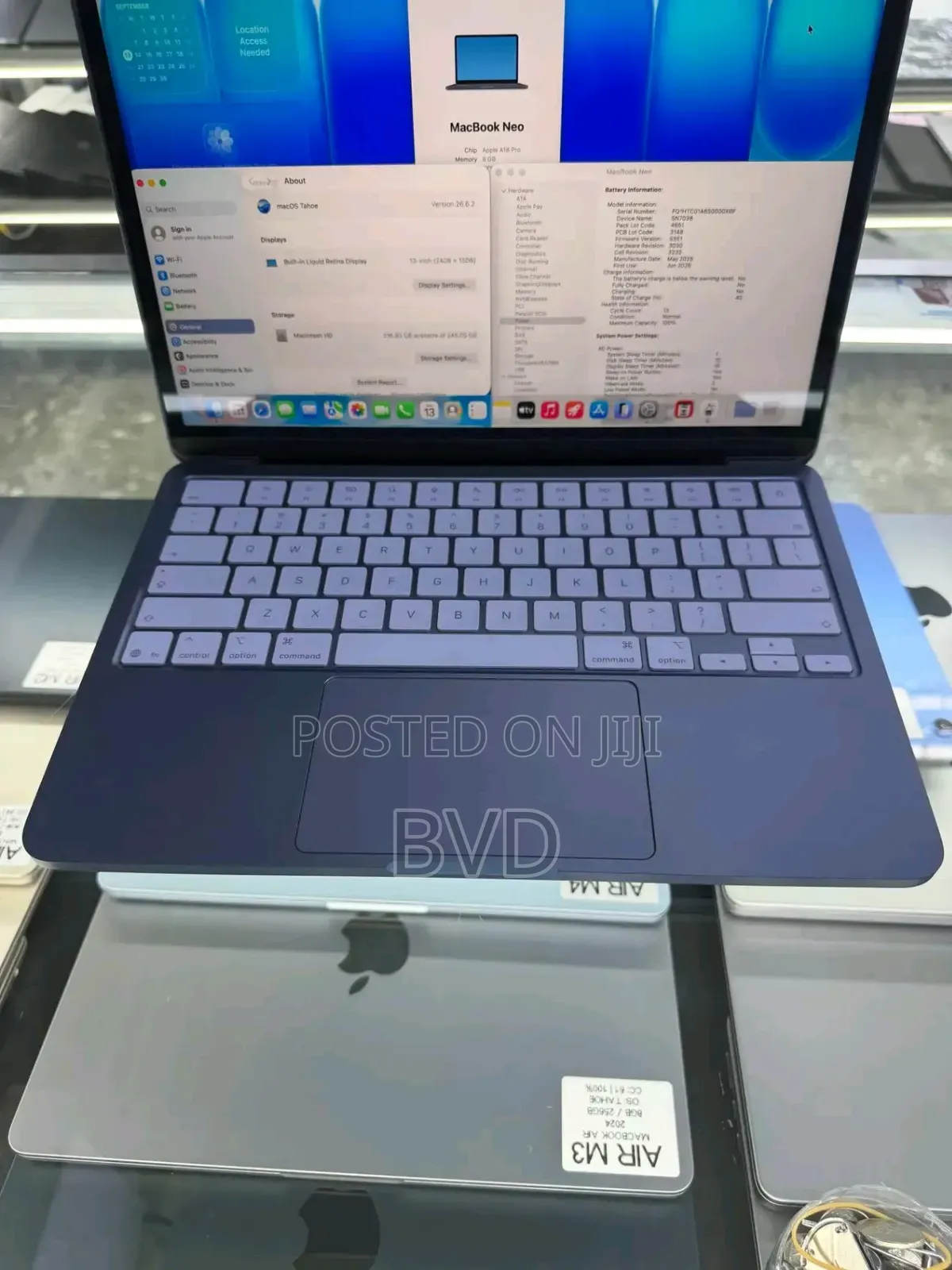 Laptop Apple MacBook Neo 2026 8GB Apple M4 SSD 256GB