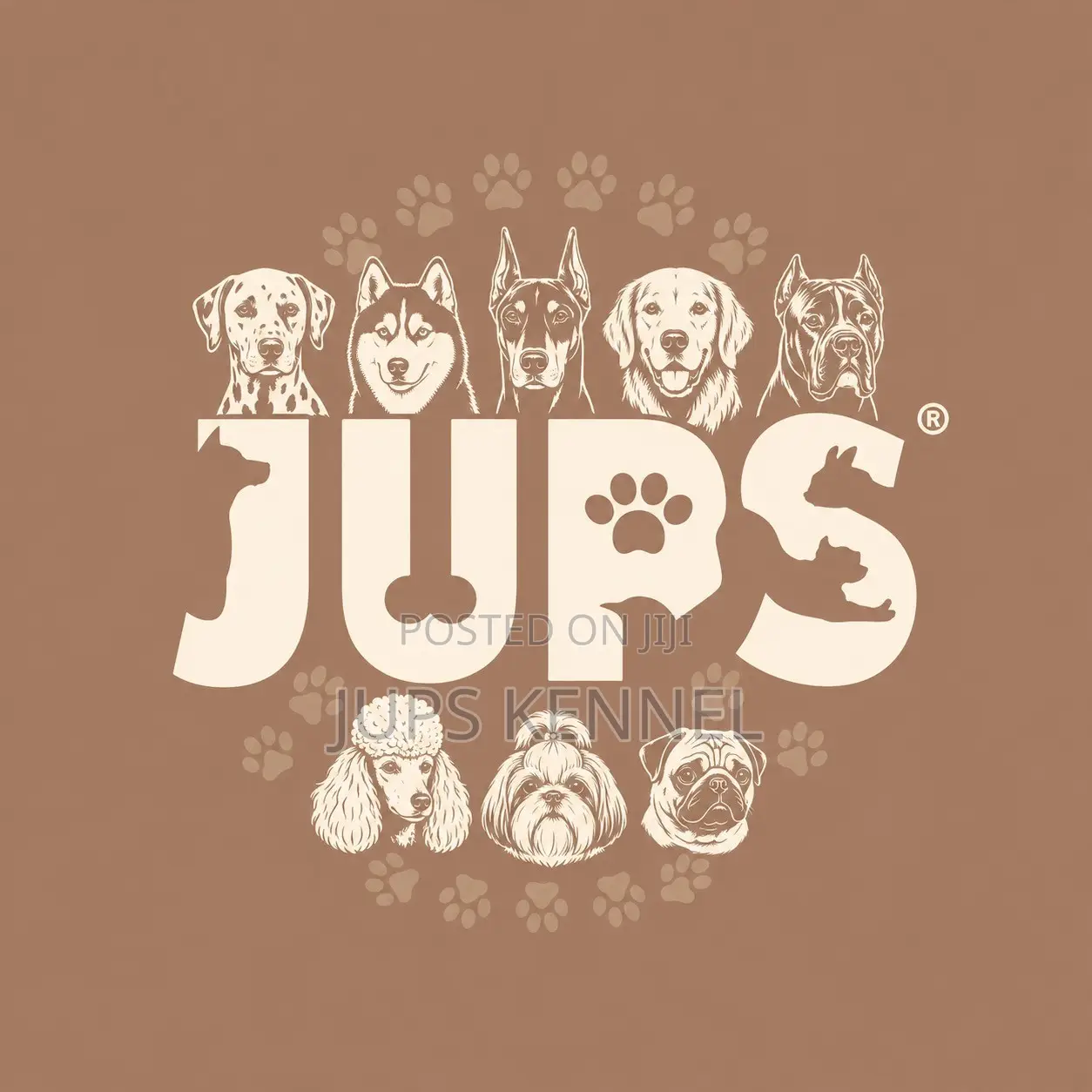 Dog Sales and Services