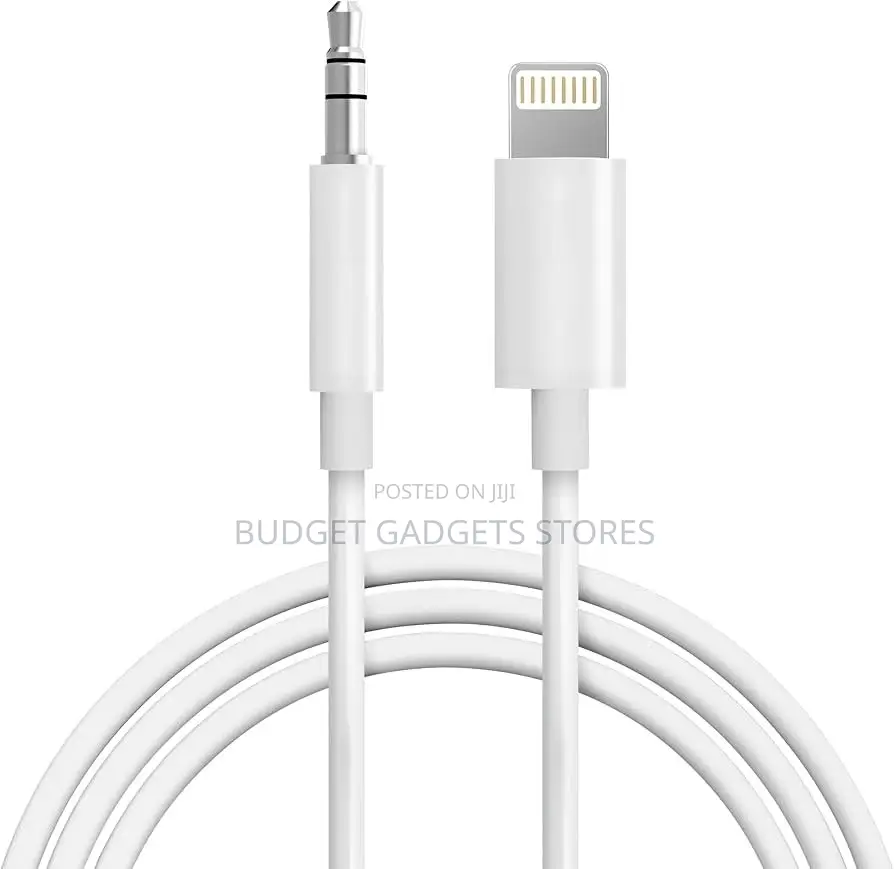 Lightning to Aux (3.5mm) Cable