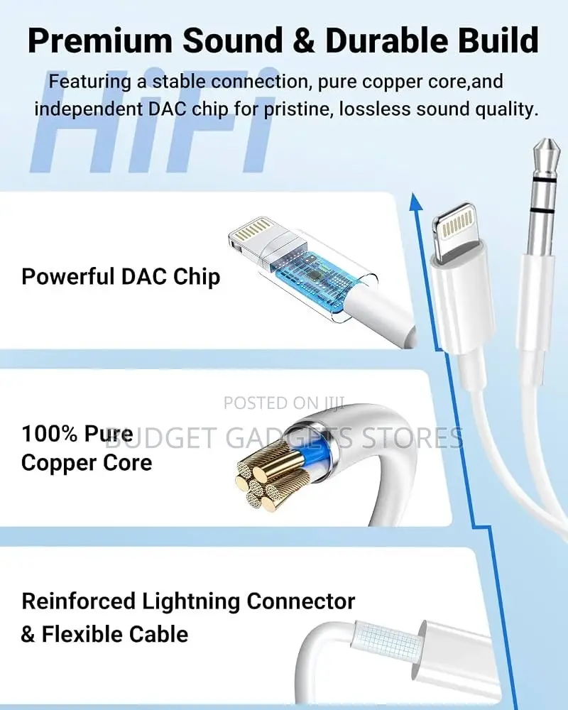 Lightning to Aux (3.5mm) Cable