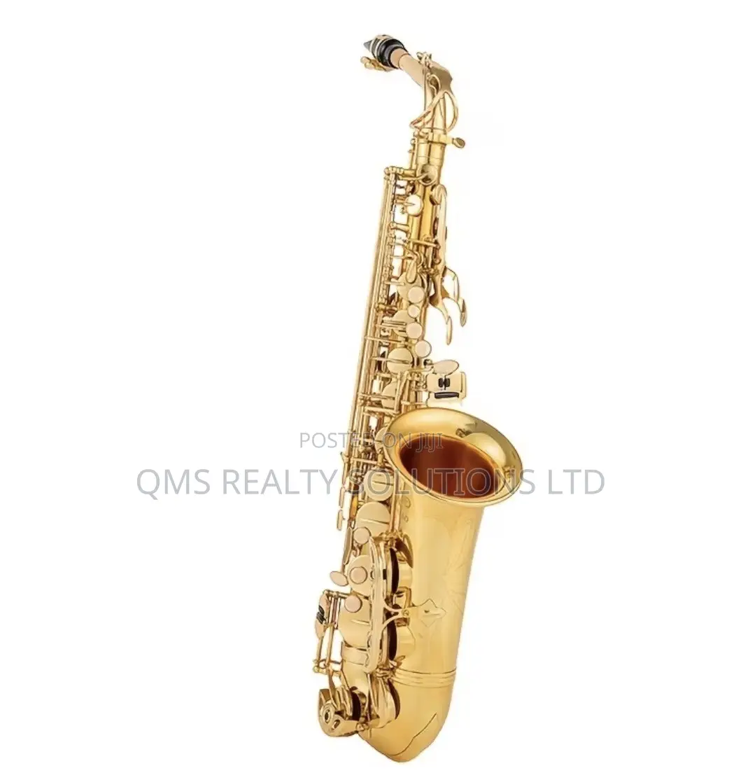 Professional E-Flat Alto Saxophone Set Plus Cordless Microphone