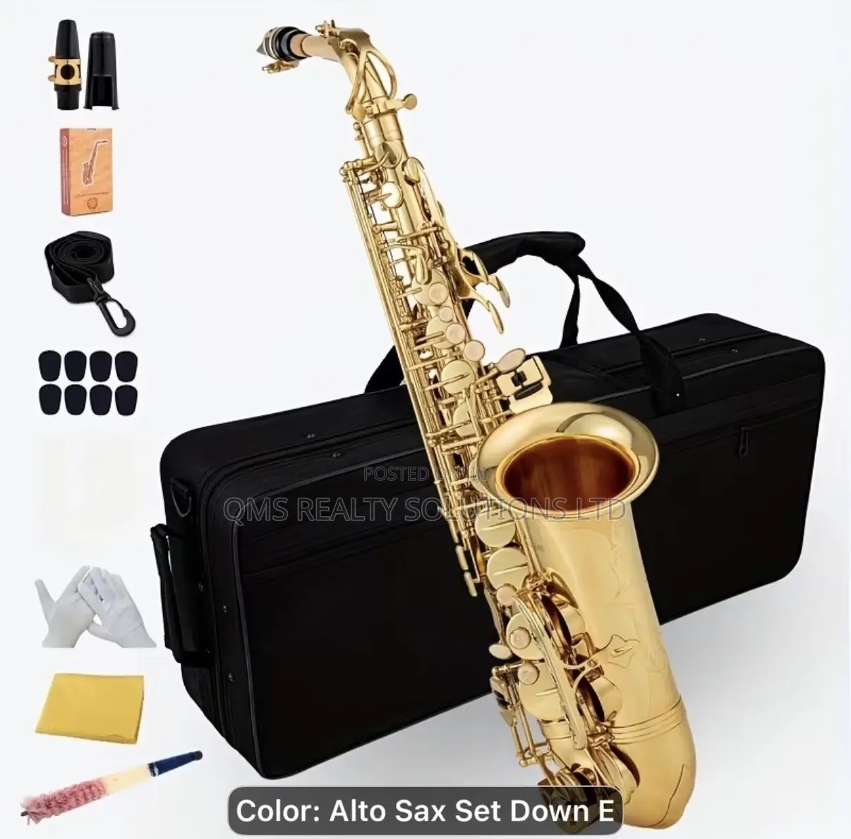 Professional E-Flat Alto Saxophone Set Plus Cordless Microphone