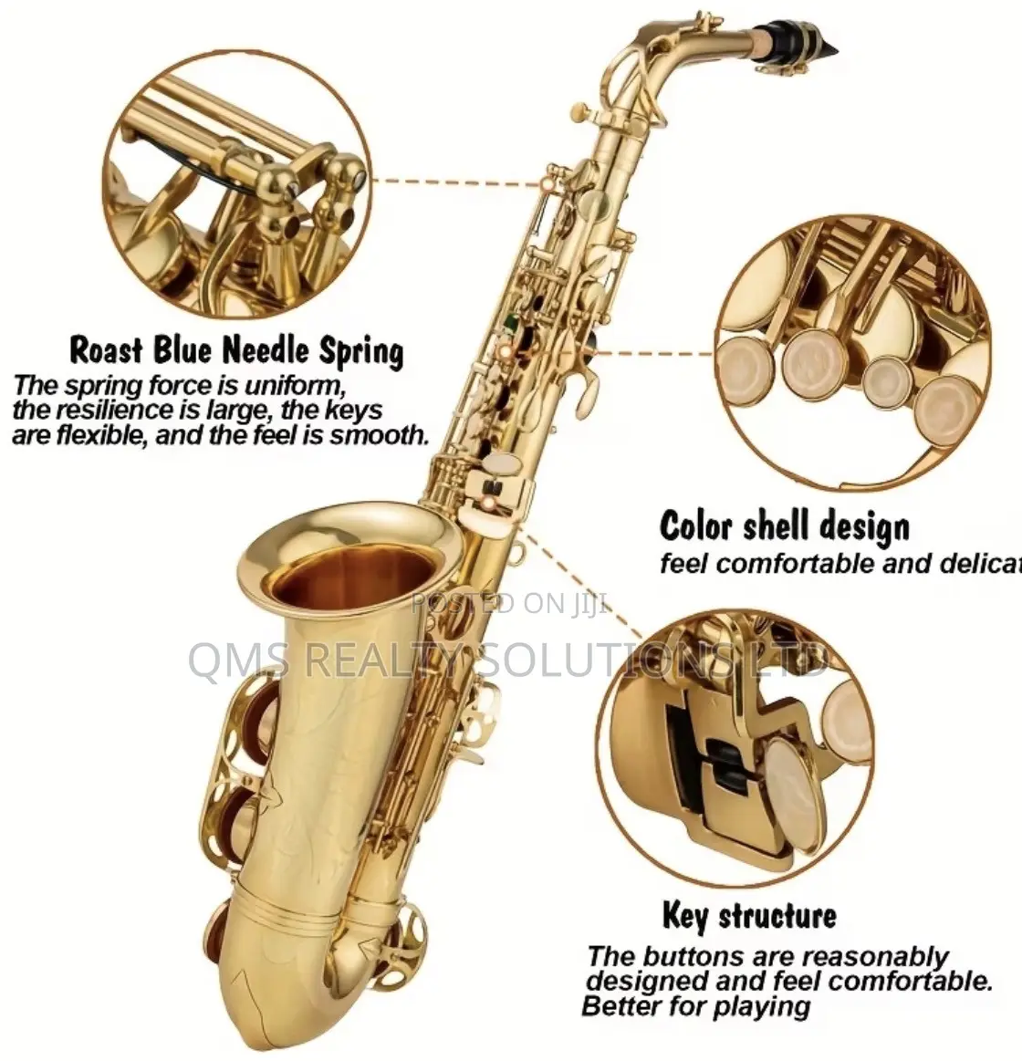 Professional E-Flat Alto Saxophone Set Plus Cordless Microphone