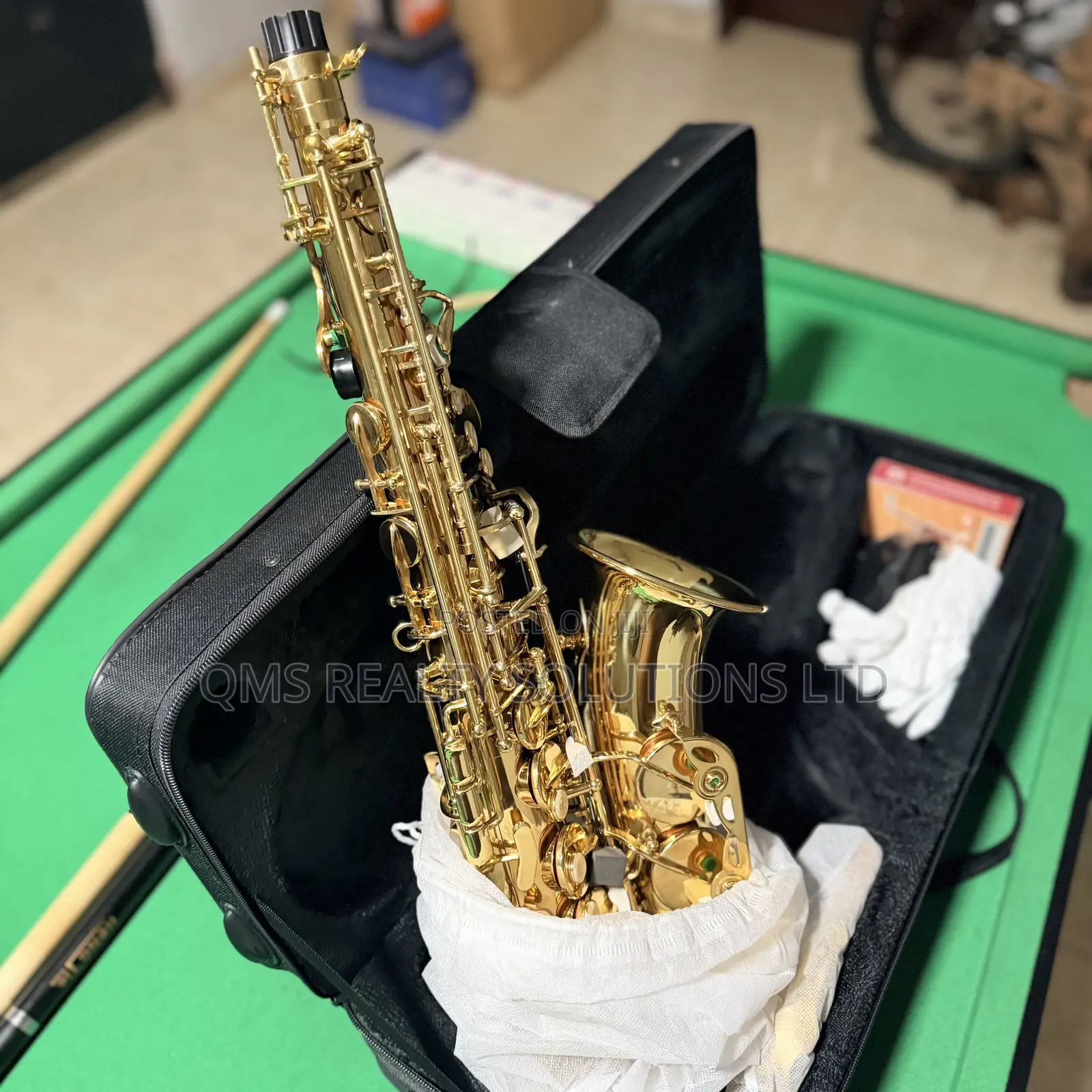 Professional E-Flat Alto Saxophone Set Plus Cordless Microphone