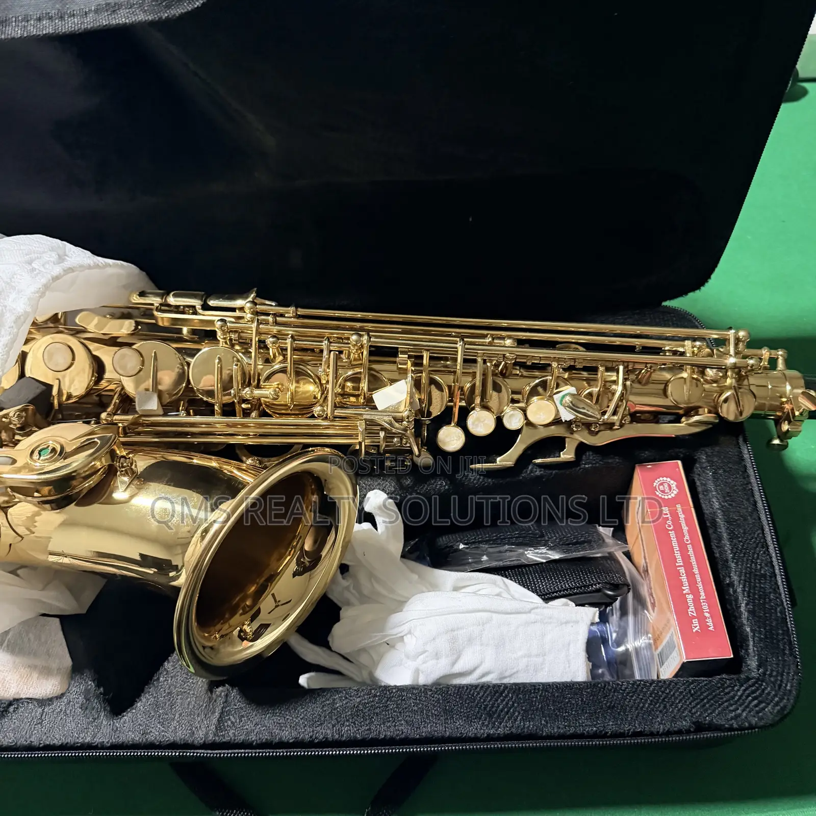Professional E-Flat Alto Saxophone Set Plus Cordless Microphone