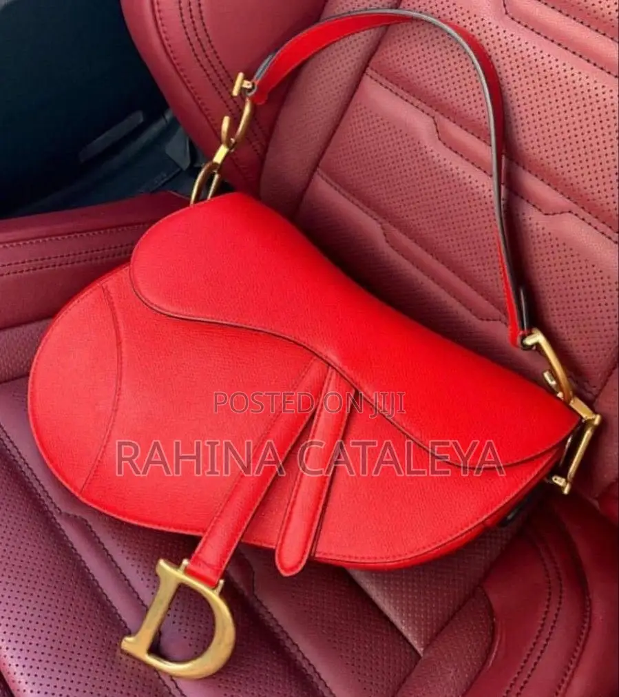 Dior Bag for Ladies