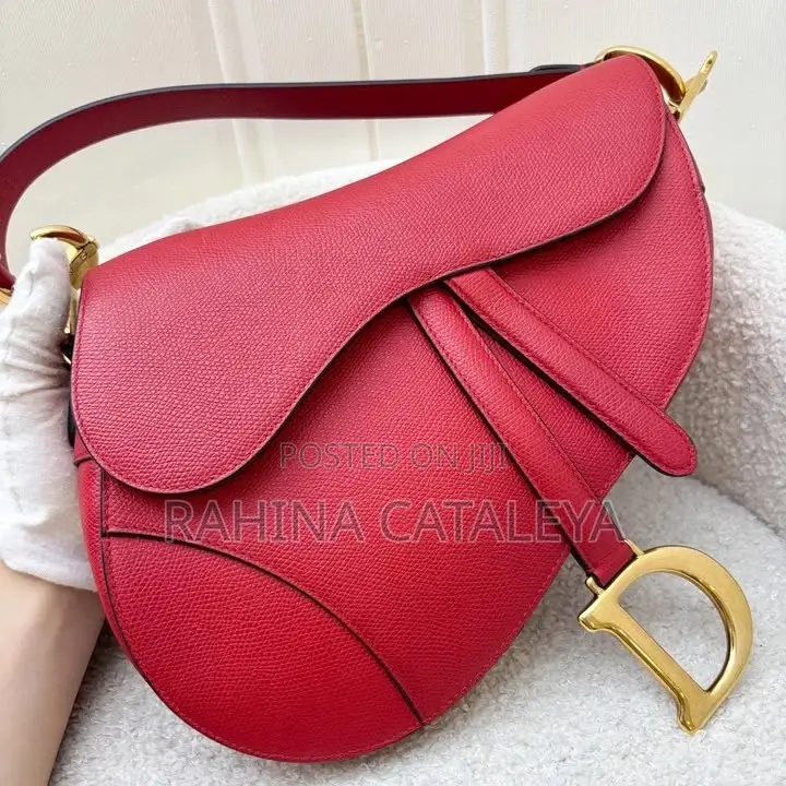 Dior Bag for Ladies