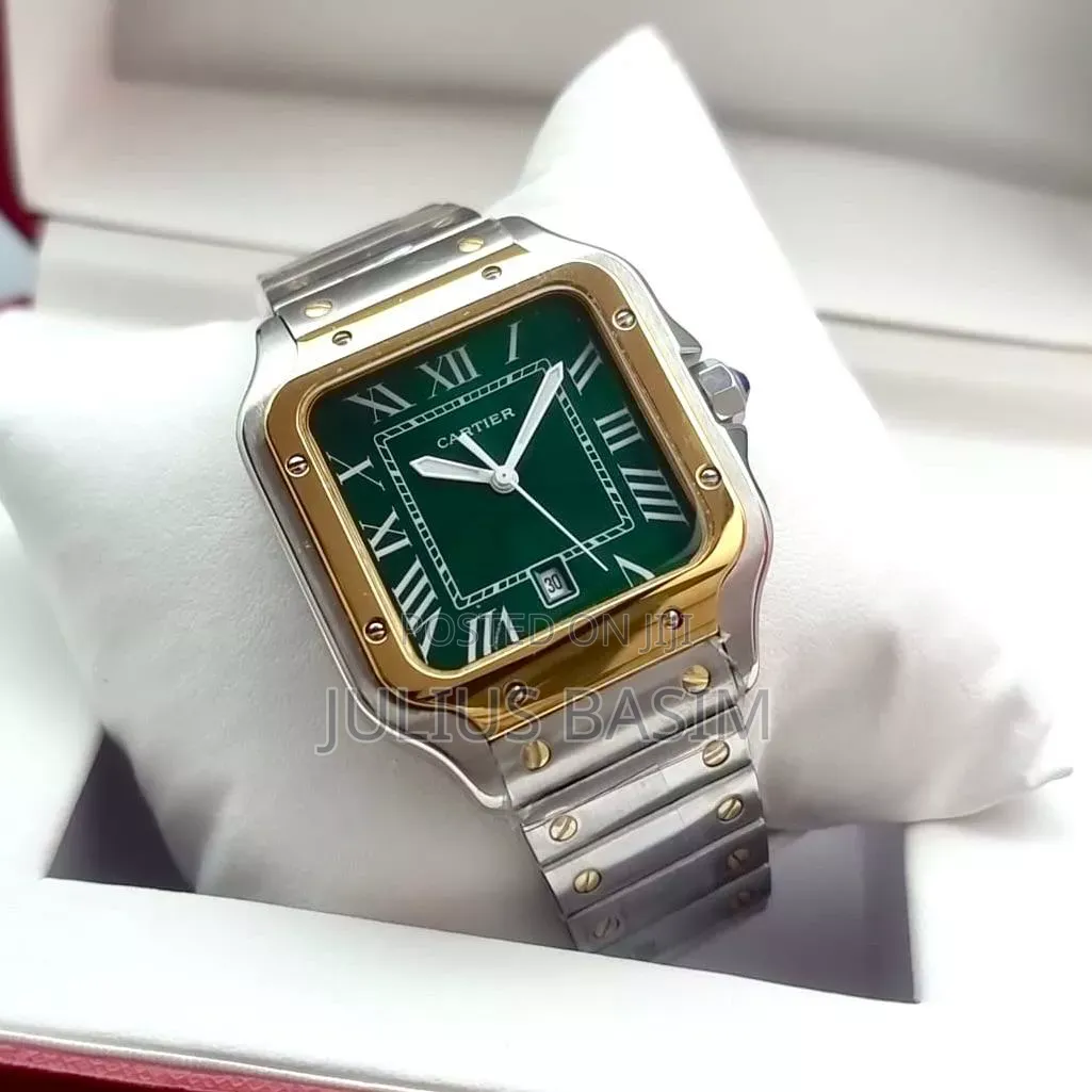 Cartier Watch Automatic (High Quality)