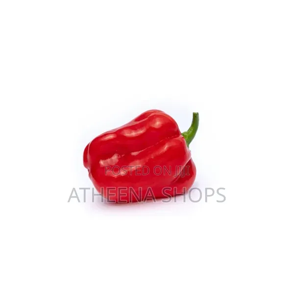 Hot Habanero Pepper Seeds (50 Grams)