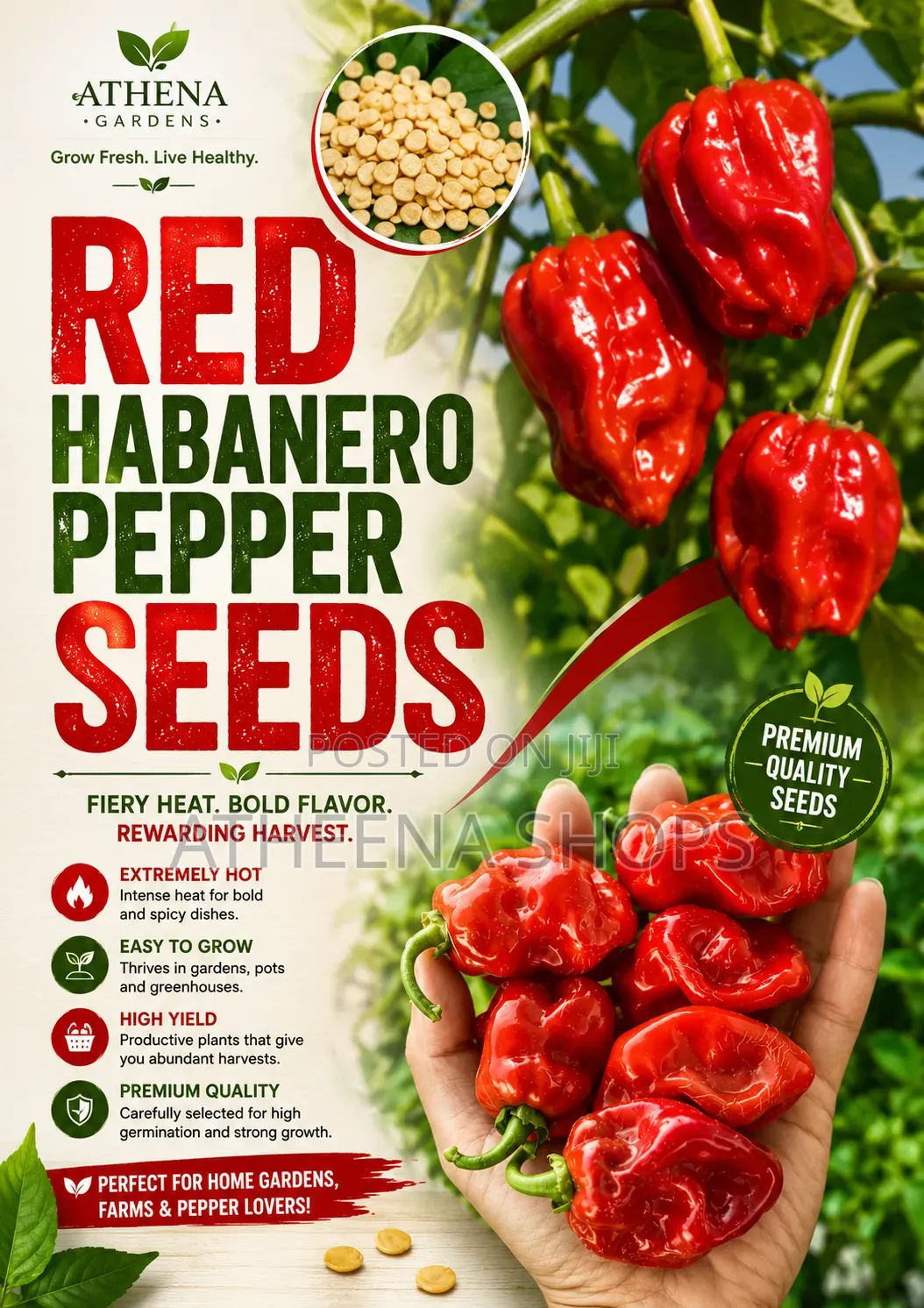 Hot Habanero Pepper Seeds (50 Grams)