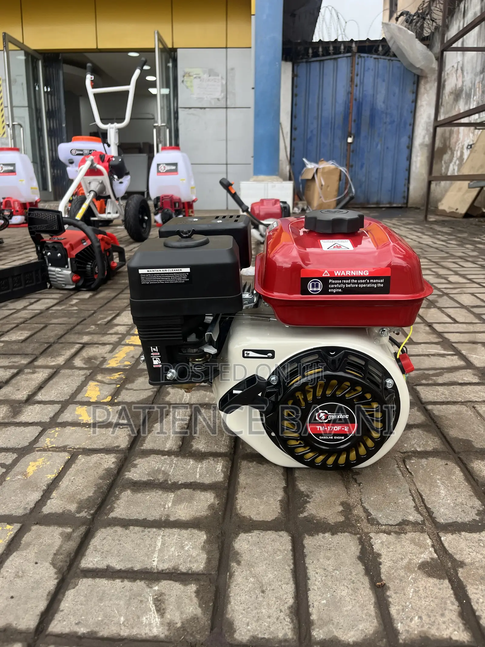 Gasoline Engine (Tm-170f-2)