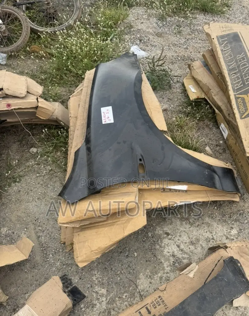 Hyundai Accent 2007 Fender