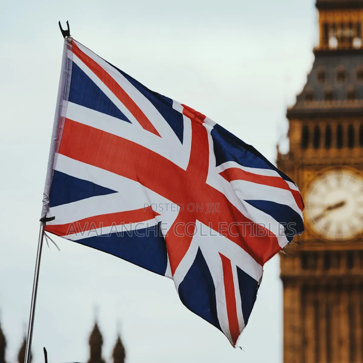 Travel to the Visa Before Payment