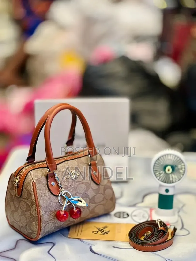 Ladies Hand Bag