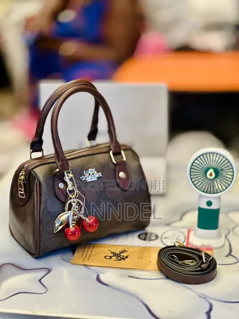 Ladies Hand Bag