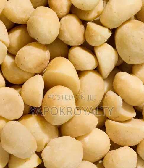 Macadamia Nut (Unshelled)