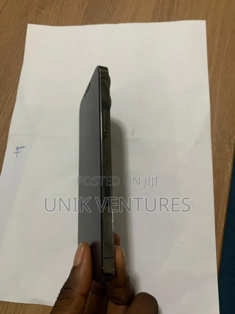 Apple iPhone 13 Pro Max 256 GB Gray