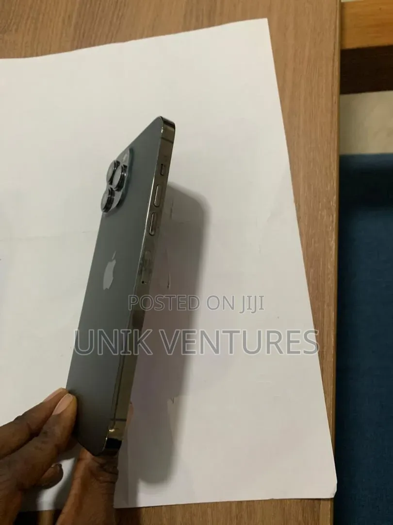 Apple iPhone 13 Pro Max 256 GB Gray