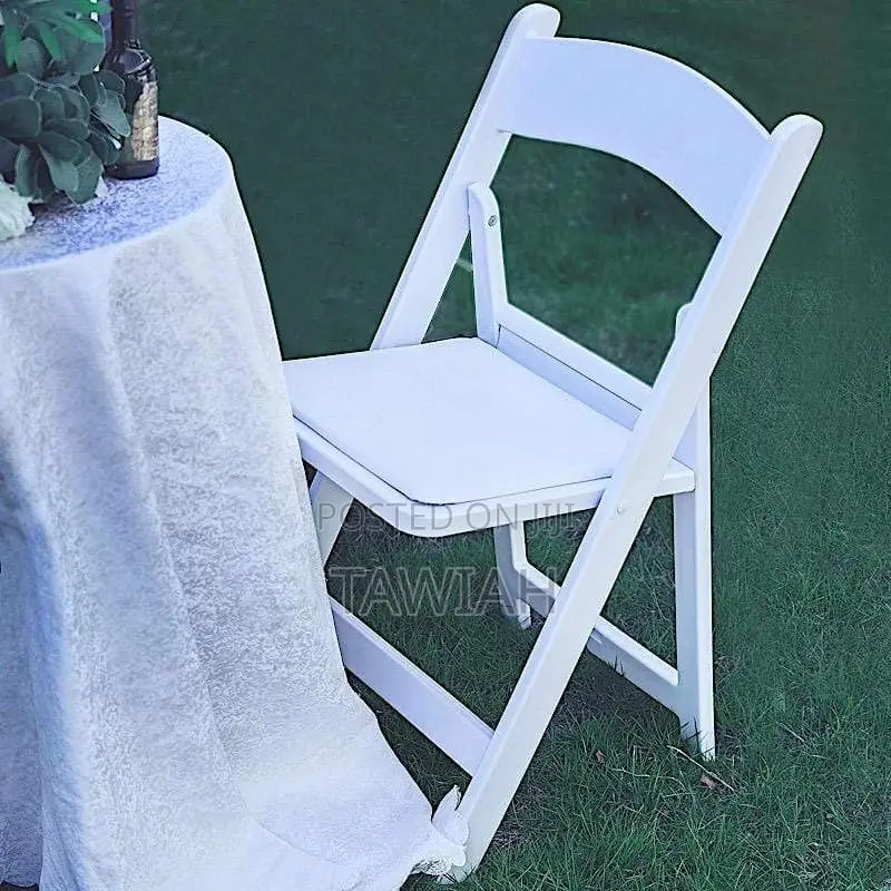 Fan Back New Design Foldable Chair