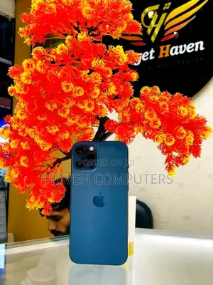 Apple iPhone 12 Pro Max 128 GB Black