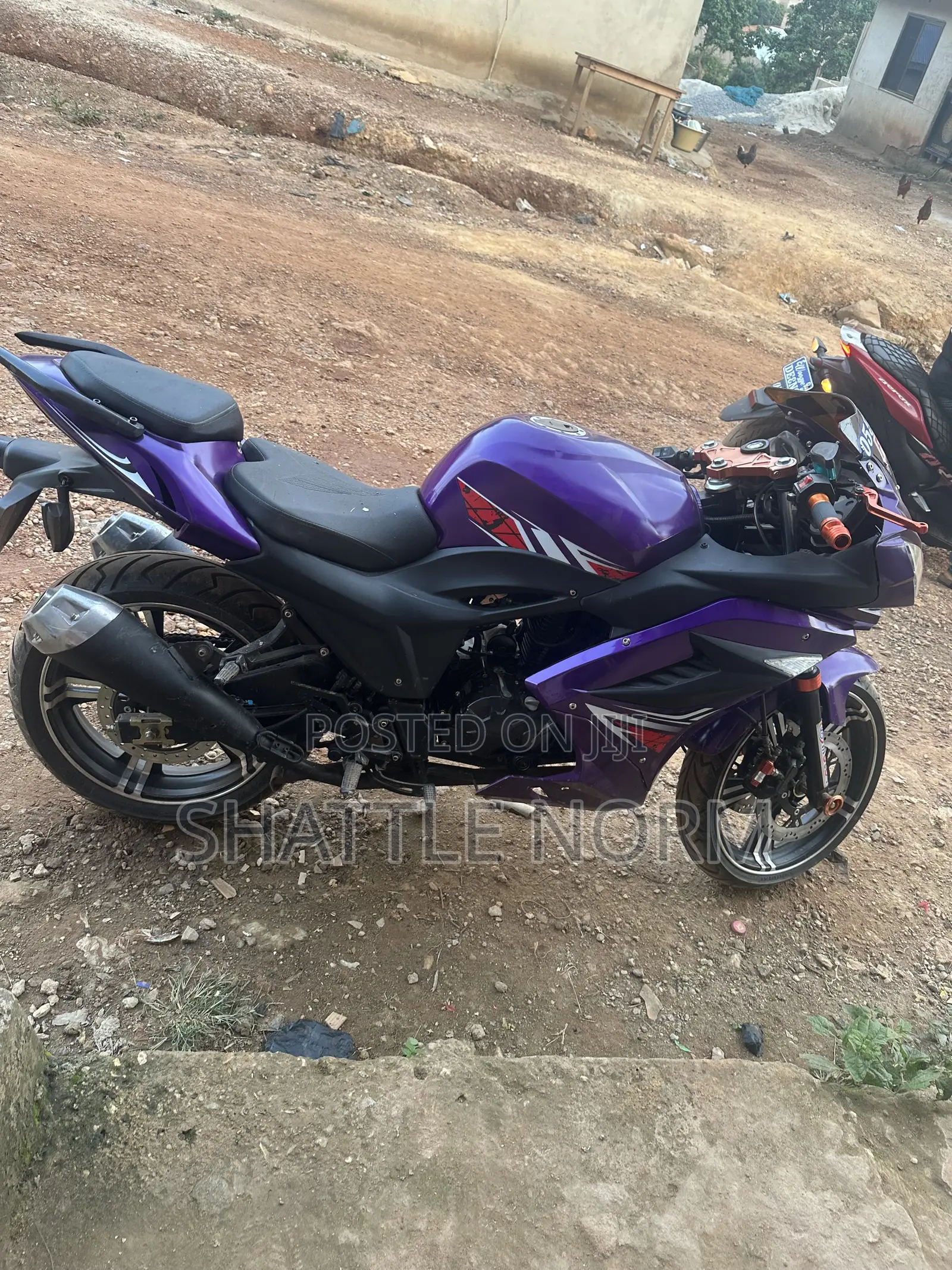 New Kawasaki W800 2026 Purple