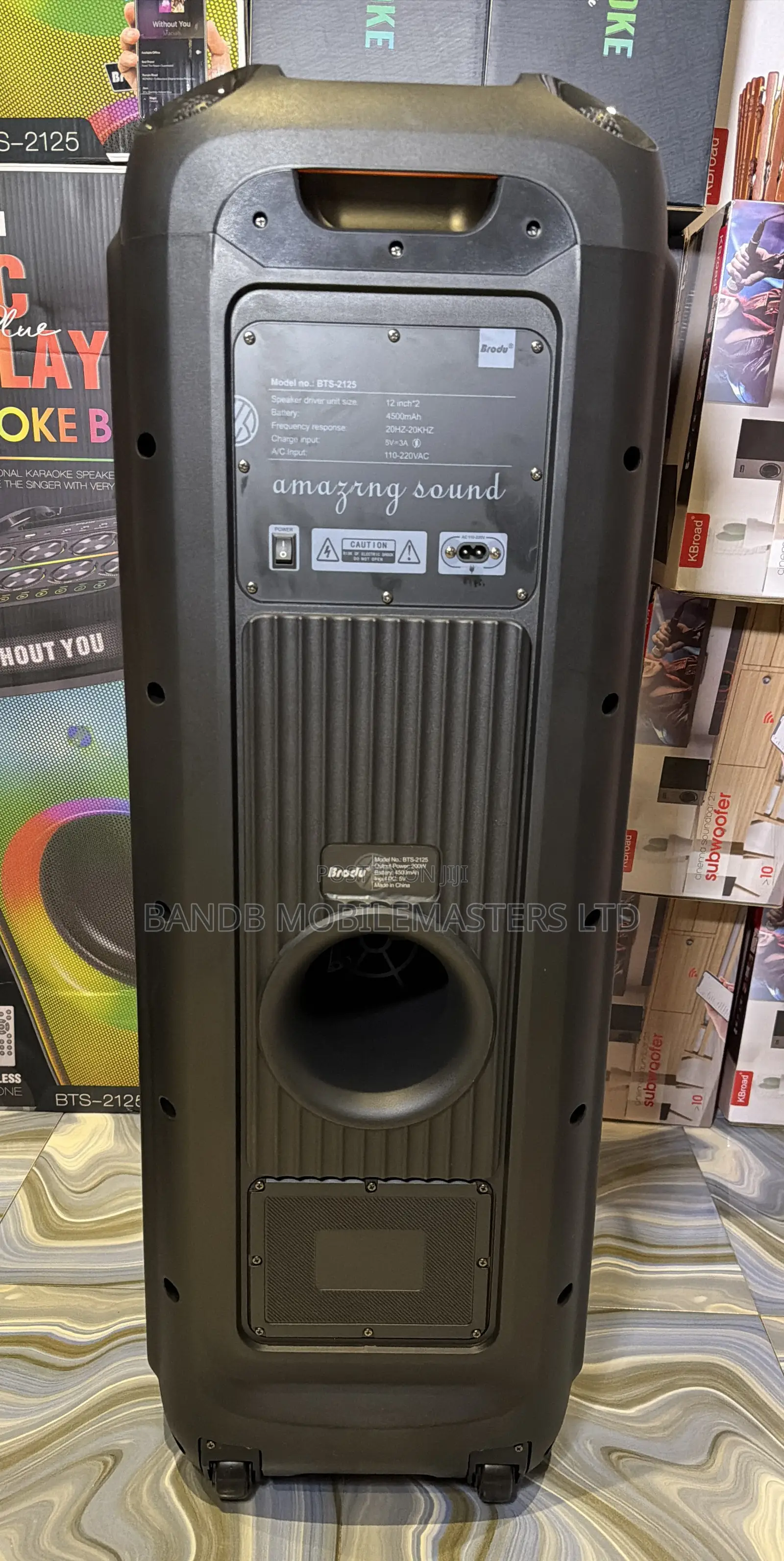Very Big 12-Inch Party Speaker brodu BTS-2125 | 2 Wireless Mics