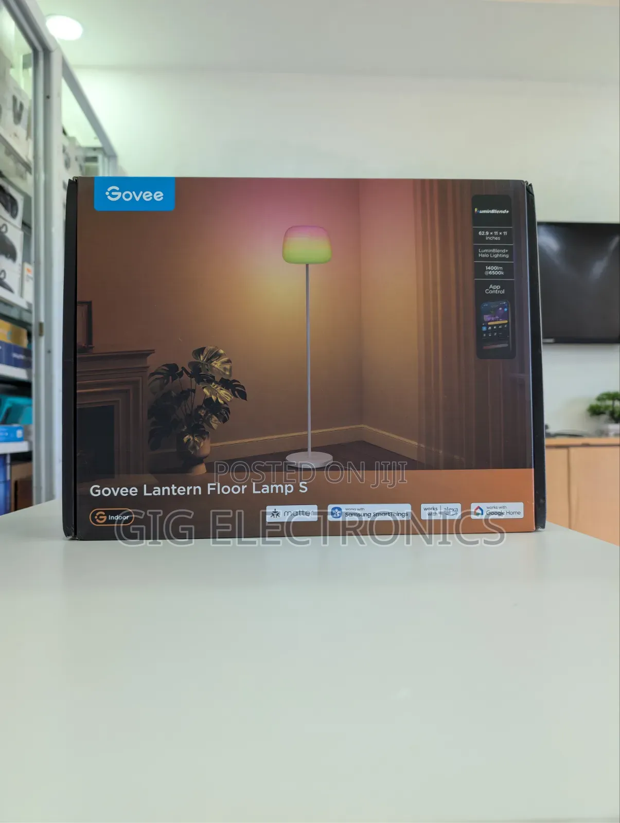 Govee Lantern Floor Lamp S