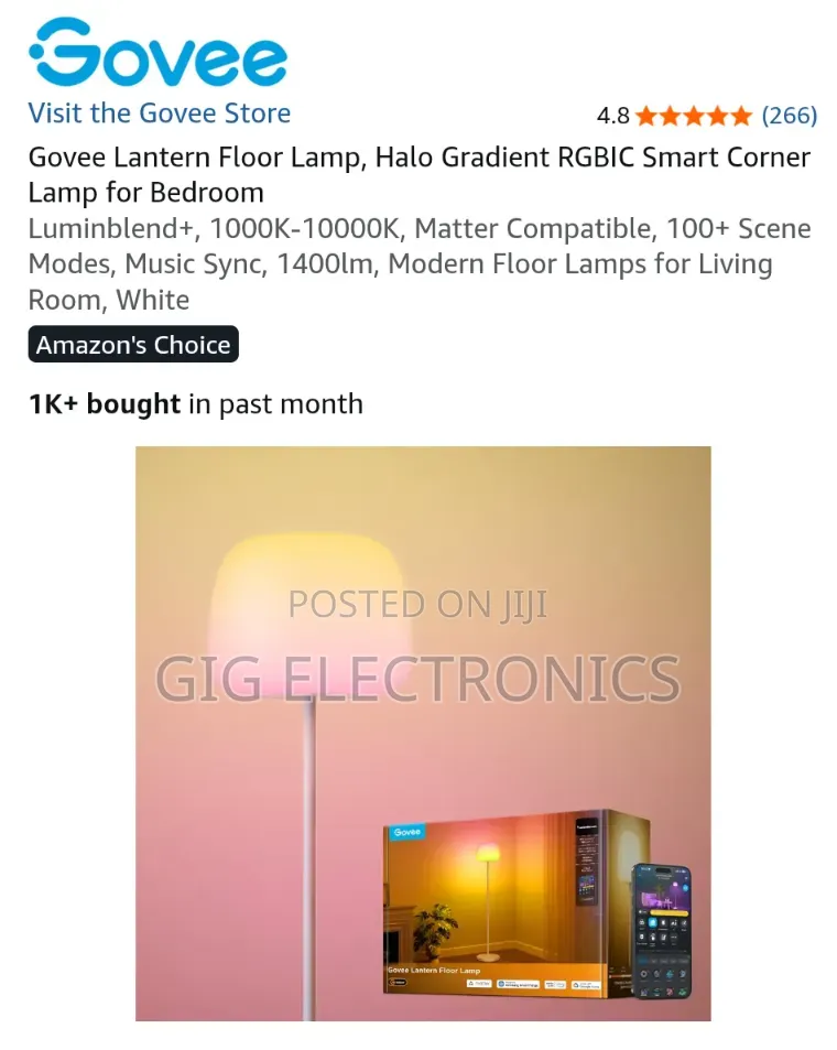 Govee Lantern Floor Lamp S