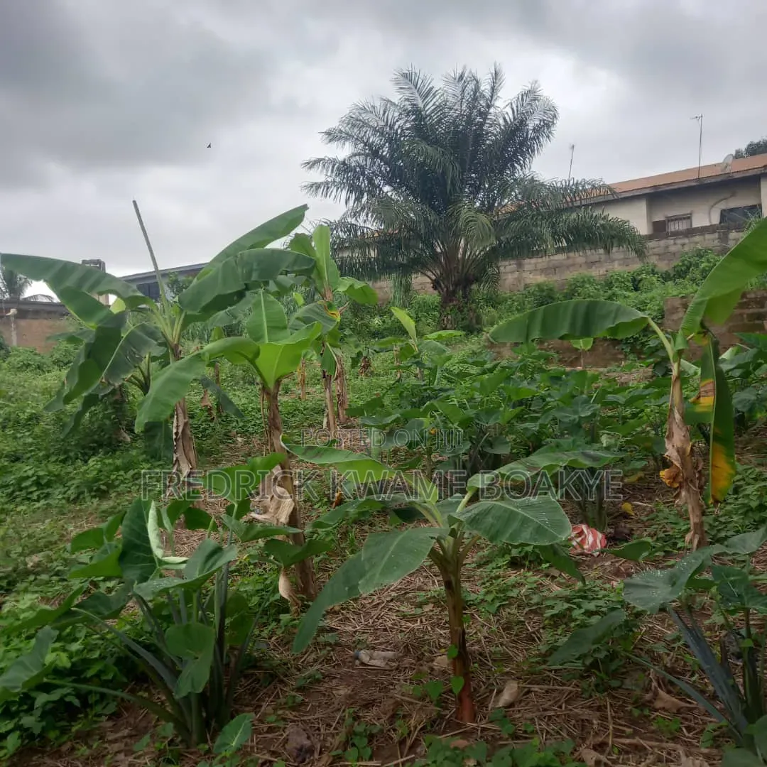 Plot of Land for Sale at Ipt Nyankyereniase