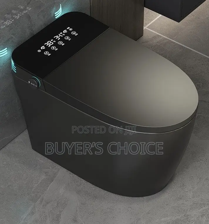 Smart Toilet