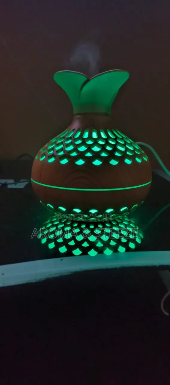 Ultrasonic Aroma Humidifier + Essential Oil