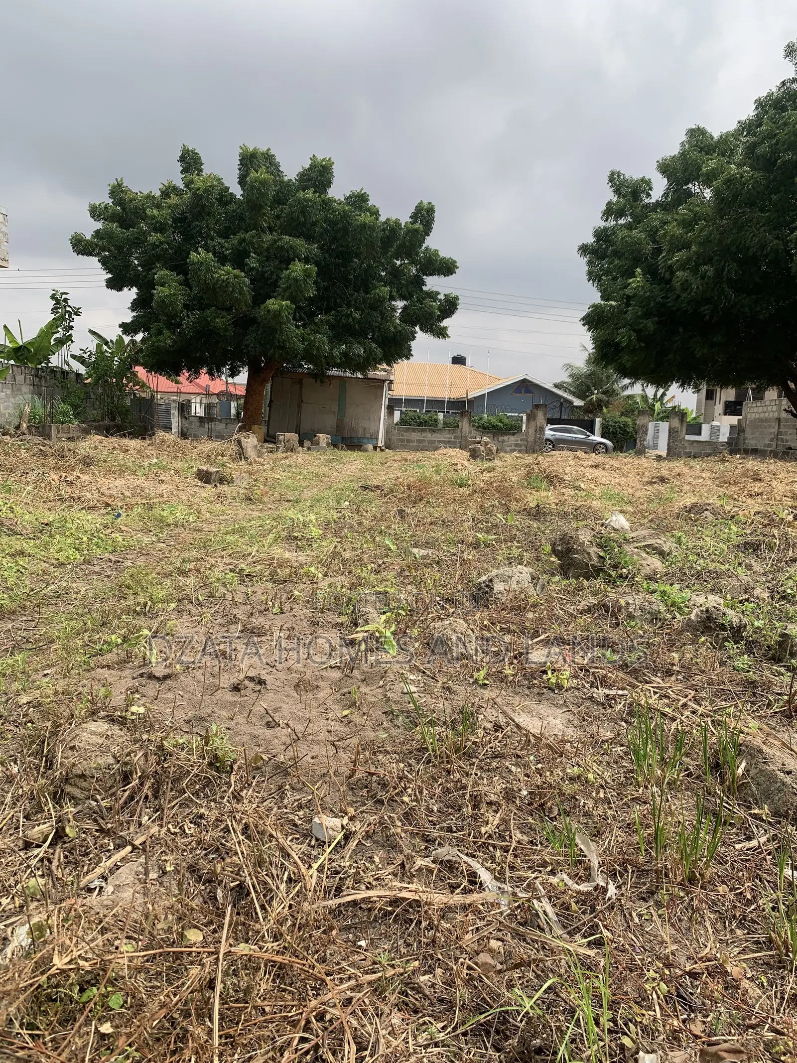 One and Half Plot , Size 80/160